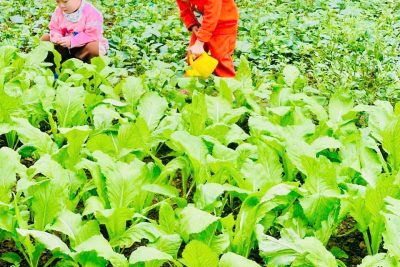 HOẠT ĐỘNG TRẢI NGHIỆM CỦA CÁC BÉ